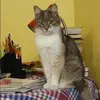 Отзыв от Инга Булатова